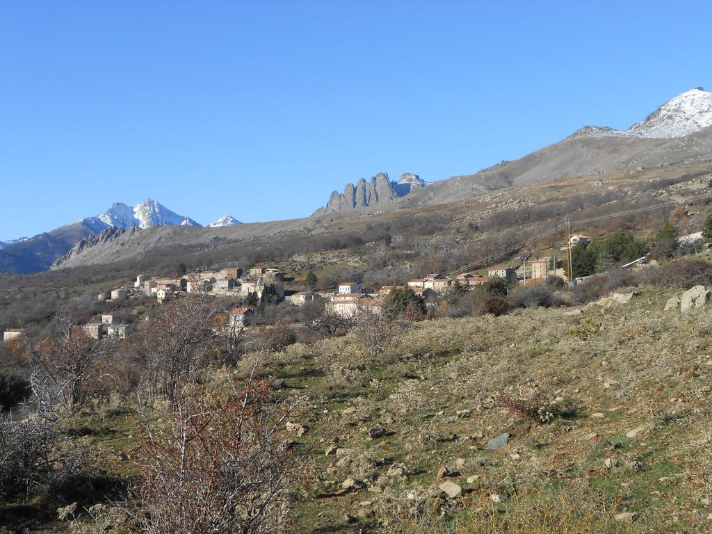 Les Chalets De Lozzi Calacuccia Kültér fotó