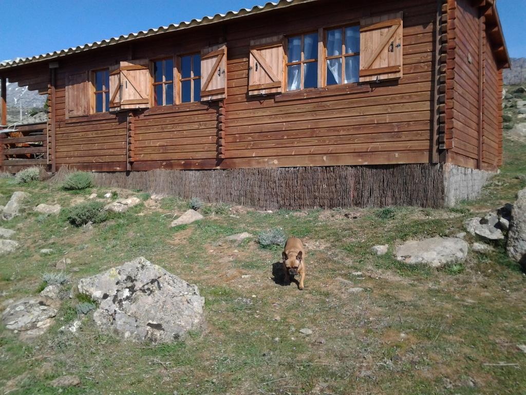 Les Chalets De Lozzi Calacuccia Kültér fotó