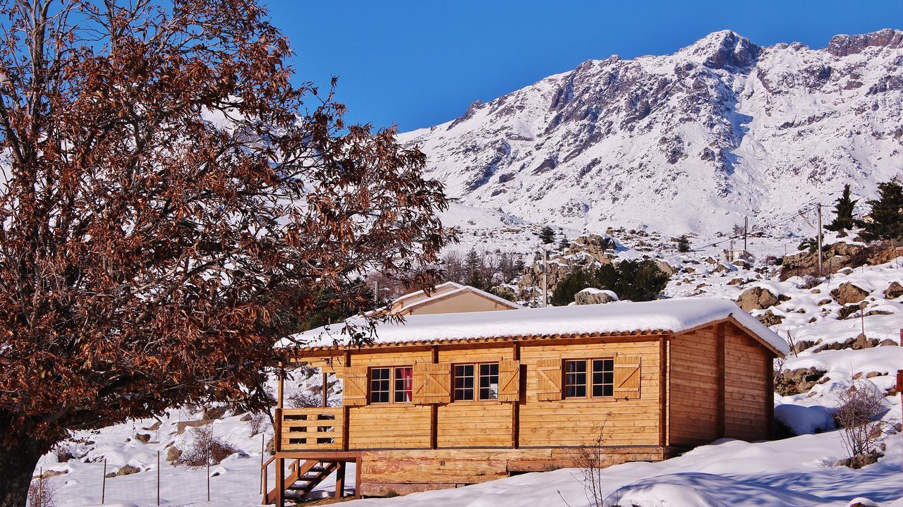 Les Chalets De Lozzi Calacuccia Kültér fotó