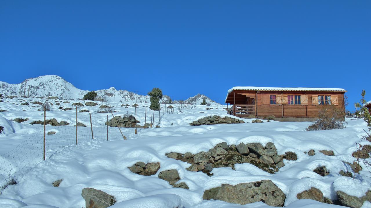Les Chalets De Lozzi Calacuccia Kültér fotó