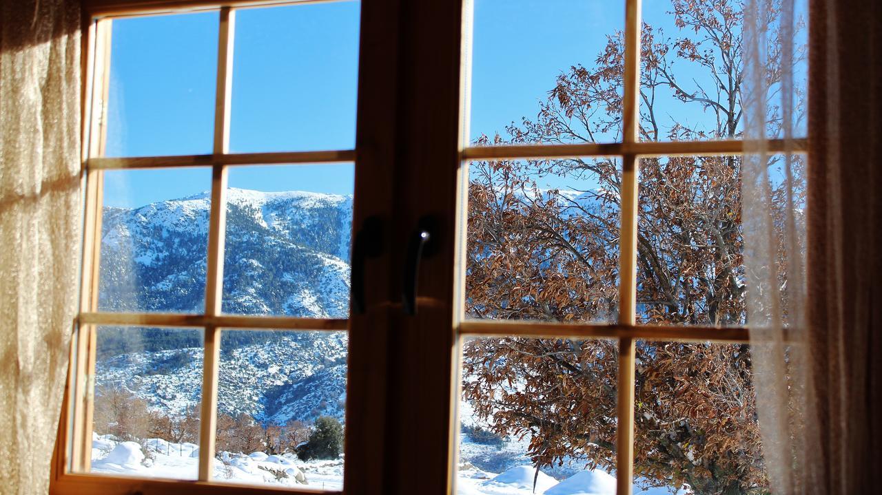 Les Chalets De Lozzi Calacuccia Kültér fotó