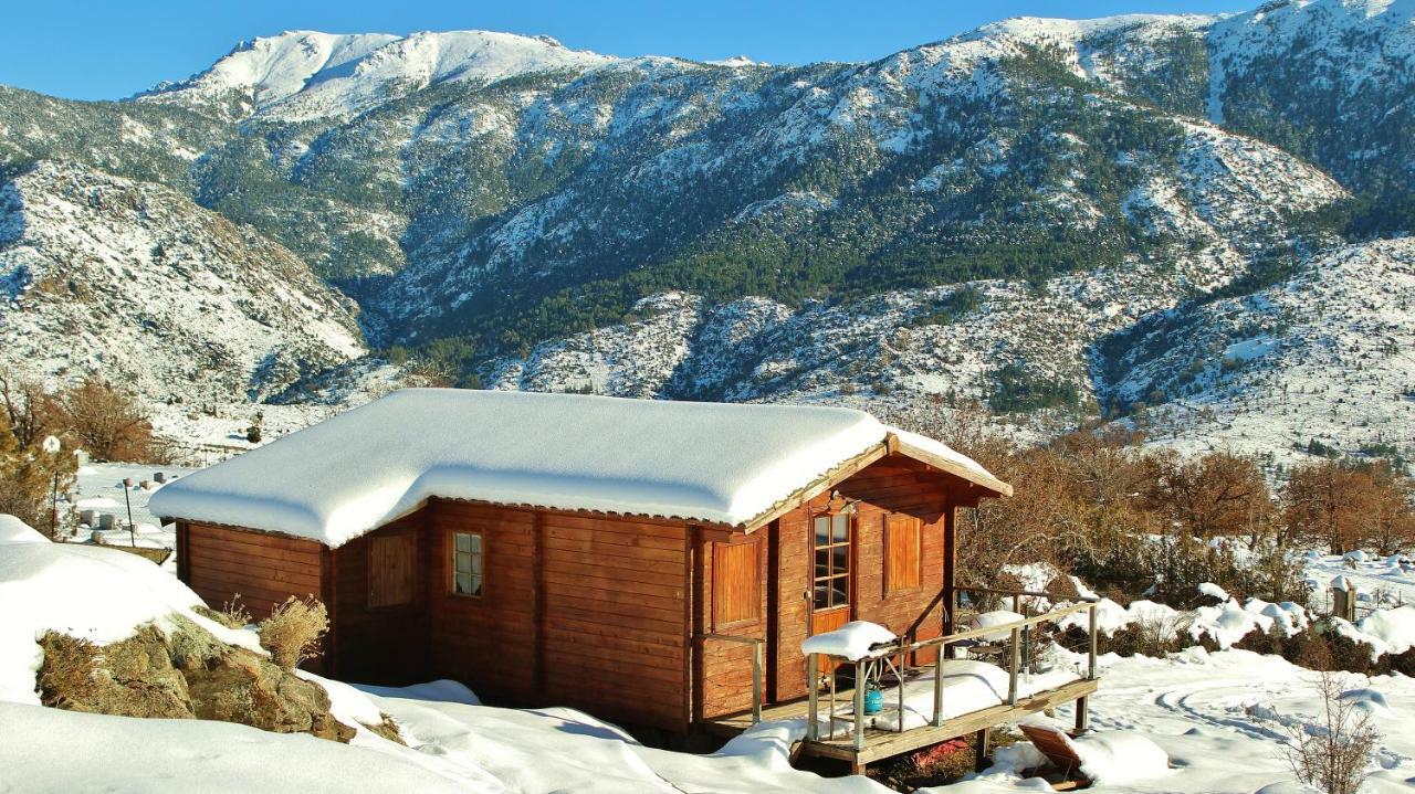 Les Chalets De Lozzi Calacuccia Kültér fotó